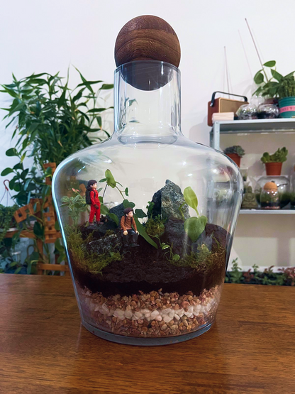 Summit View Terrarium with mountain landscape and explorers figurines. Dubai Terrarium Lilli Plants shop