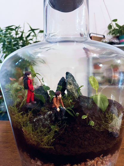 Luxury mountain-inspired terrarium with Fittonia, Heart Fern, and moss.Summit View Terrarium Dubai by Lilli Plants. Shop Online