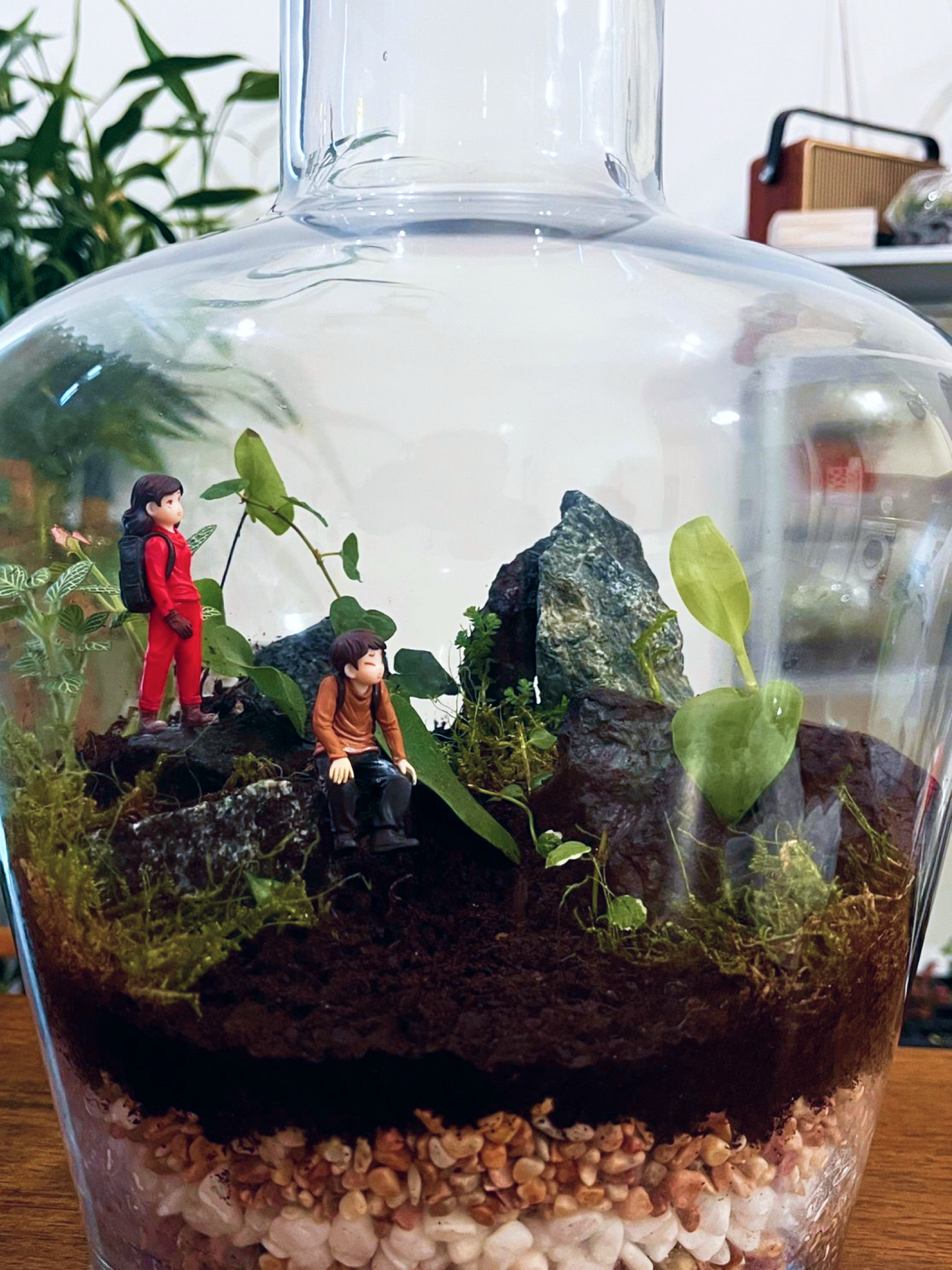 Statement terrarium décor with miniature adventurers and lush foliage. made by Lilli pLants Dubai. One shope for Terrarium and custom made terrariums