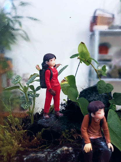 Summit View Explorer’s Legacy terrarium symbolizing adventure and success. lilli plants Dubai. Buy Terrarium Online in Dubai