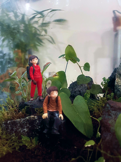 Lilli Plants handcrafted large terrarium in Dubai with rocky hillside design and lush greenery