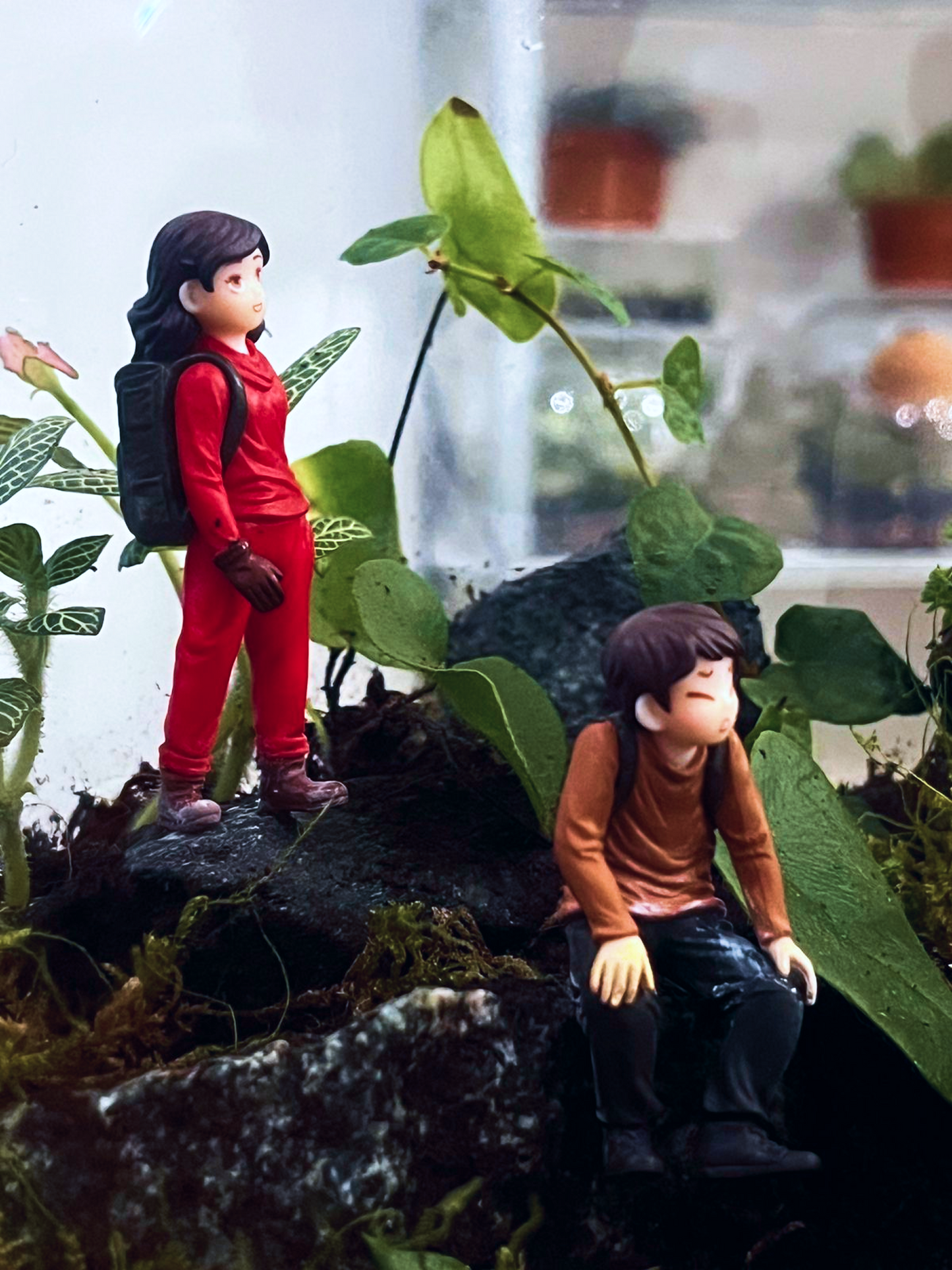 Luxury custom terrarium by Lilli Plants Dubai – the Summit View Explorer’s Legacy piece