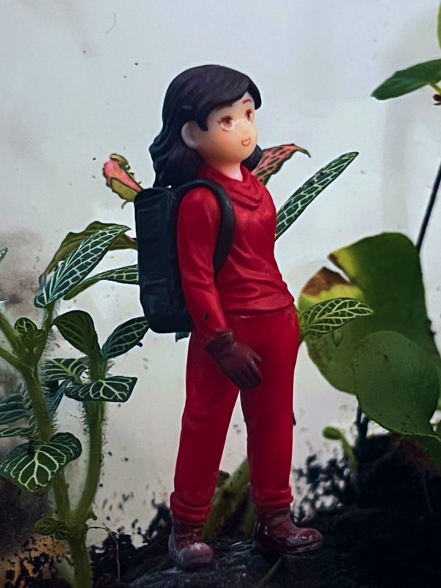 Handcrafted mountain terrarium from Lilli Plants Dubai, perfect for gifting and home décor