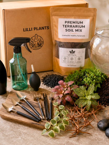 Complete terrarium kit with bowl, soil, moss, tools and plants-Dubai