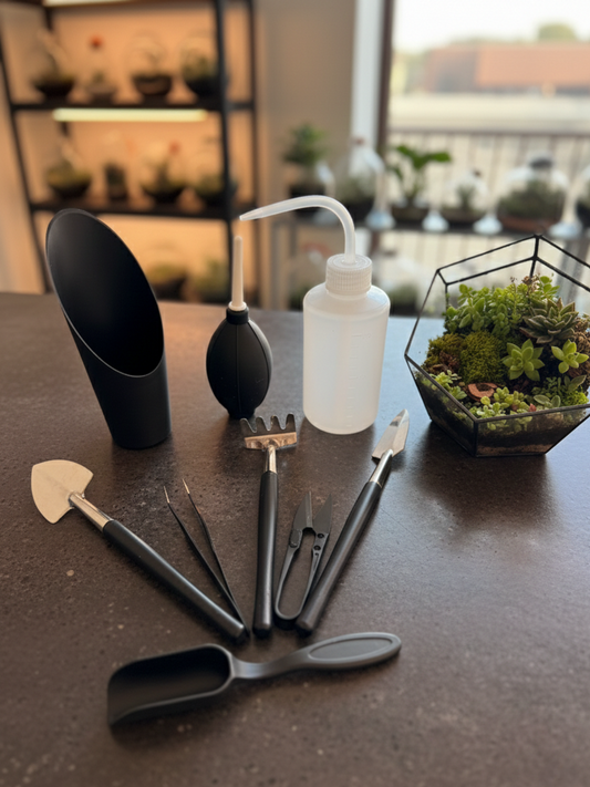 Terrarium essential beginner tool kit with 9 planting, watering and maintenance tools by Lilli Plants Dubai