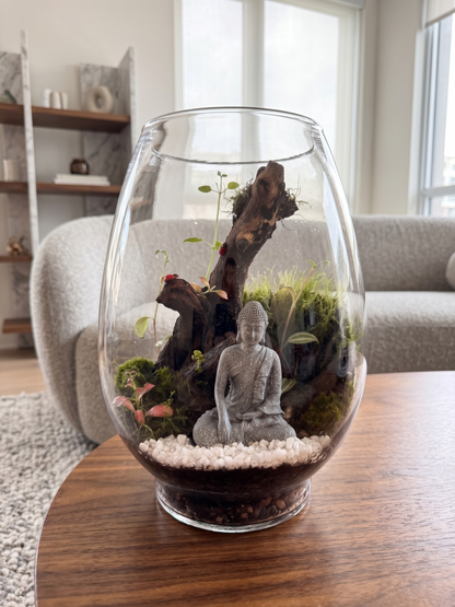 Premium living room table display featuring Buddha terrarium by Lilli Plants Dubai