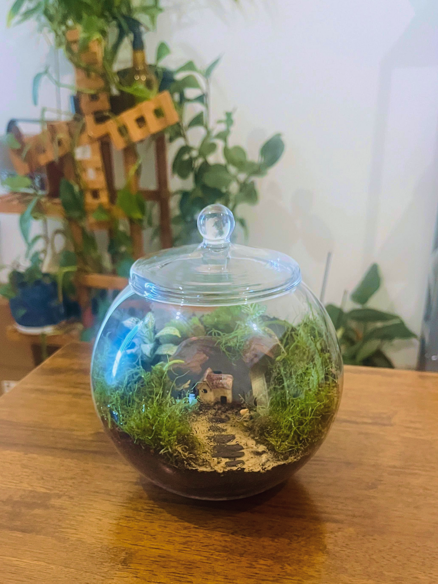 Miniature home centerpiece inside a moss terrarium handcrafted by Lilli Plants in Dubai