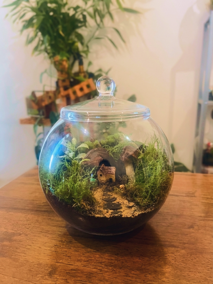 Close-up view of natural moss and fittonia inside The Little Moss Home terrarium by Lilli Plants