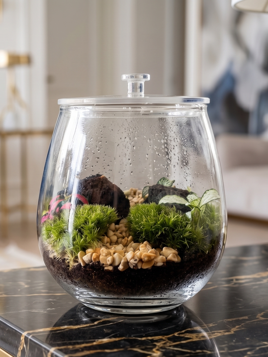 The Obsidian Ridge closed glass terrarium with cushion moss, fittonia leaves, and river pebbles on a wooden desk by Lilli Plants Dubai.