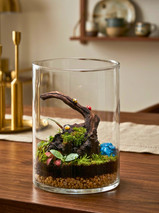 Verdant Arc 360 degree classic cylinder terrarium with driftwood and moss