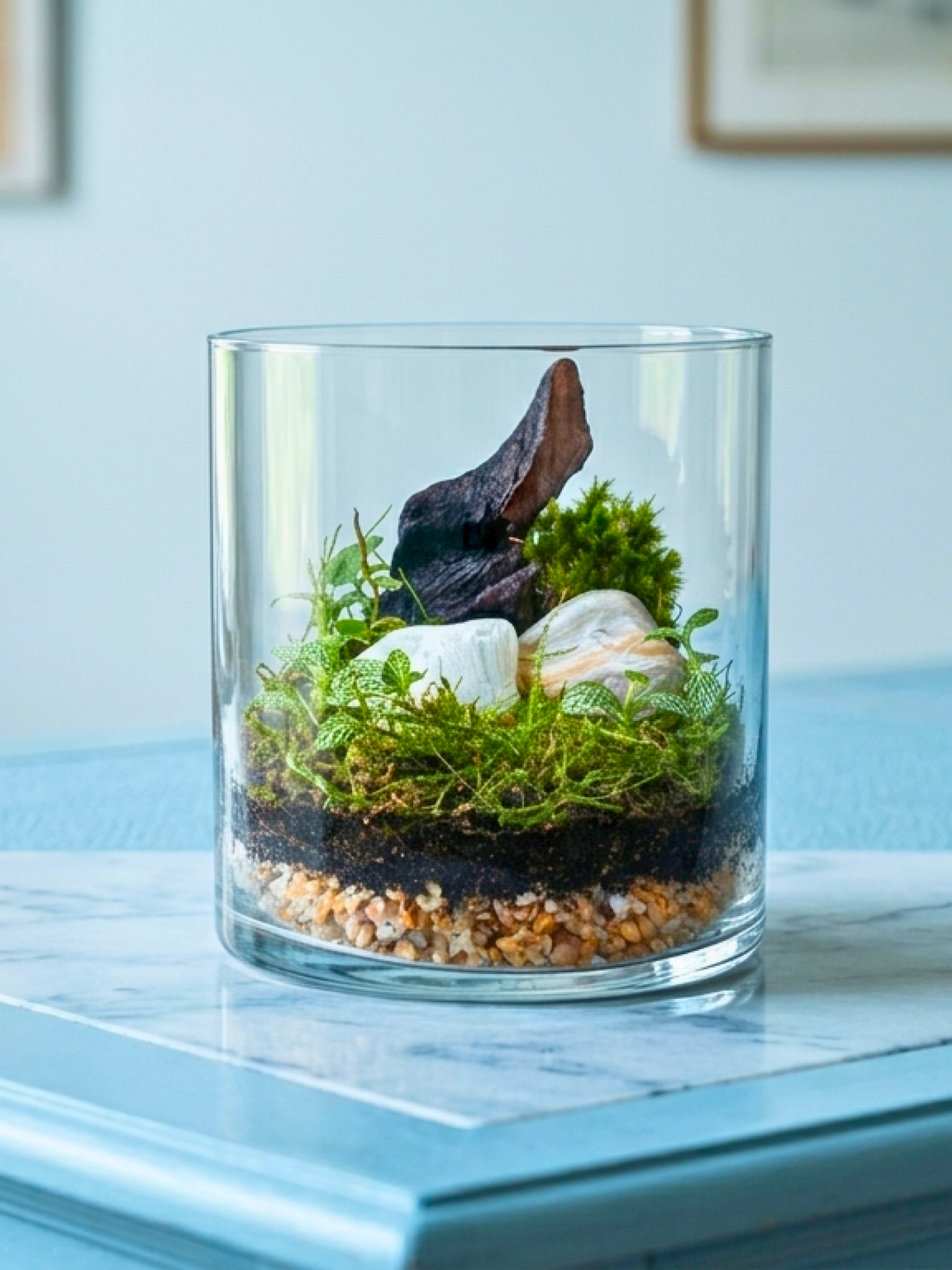 premium mini cylinder terrarium UAE with green plants and white stones