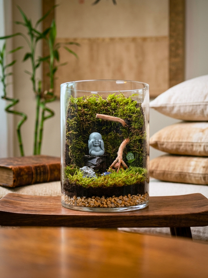 Baby Buddha terrarium with moss and spider wood in cylinder glass