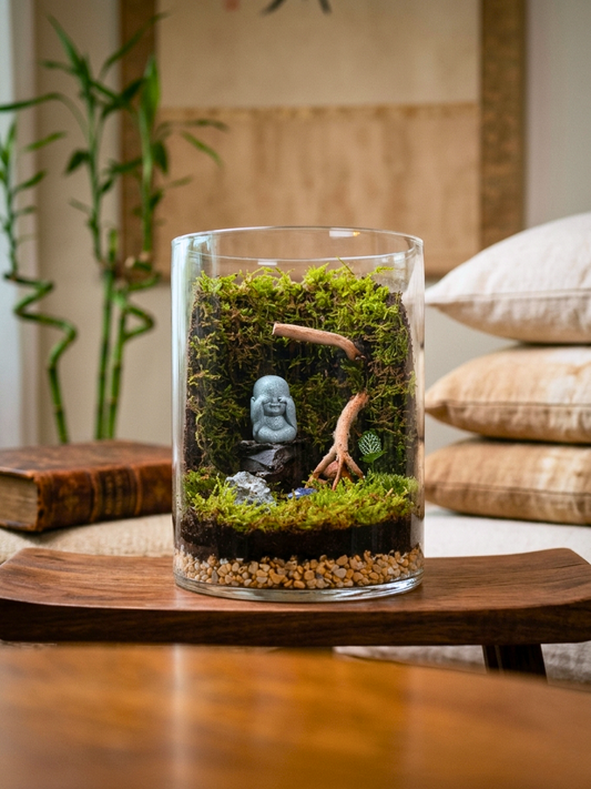 Baby Buddha terrarium with moss and spider wood in cylinder glass