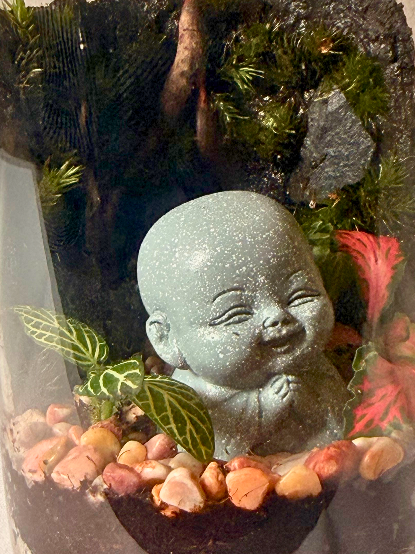 Handcrafted Buddha terrarium by Lilli Plants premium small terrarium UAE