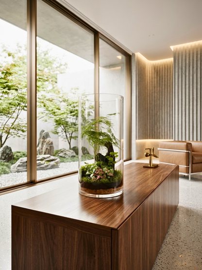 Vertical glass cylinder terrarium with layered soil system, moss carpet, and self-sustaining plant ecosystem.