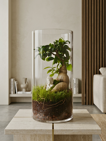 Handcrafted Ficus Microcarpa bonsai terrarium with Buddha statue and moss landscape in a premium glass cylinder by Lilli Plants Dubai.