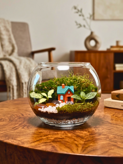 Premium indoor terrarium in Dubai featuring garden cottage, cushion moss, flat moss and Fittonia plant