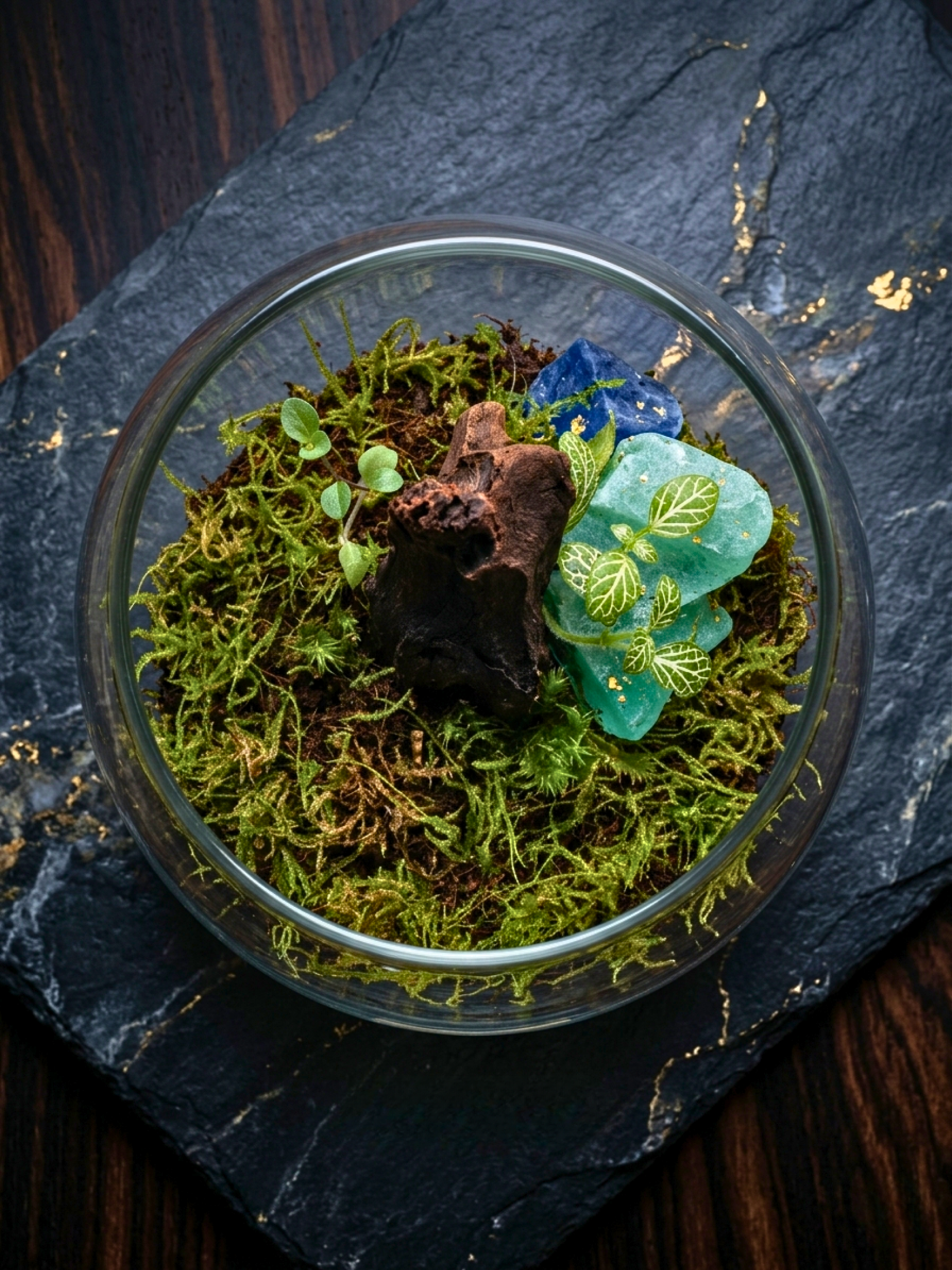 Handcrafted moss terrarium with Fittonia Selaginella and decorative driftwood for home décor in UAE