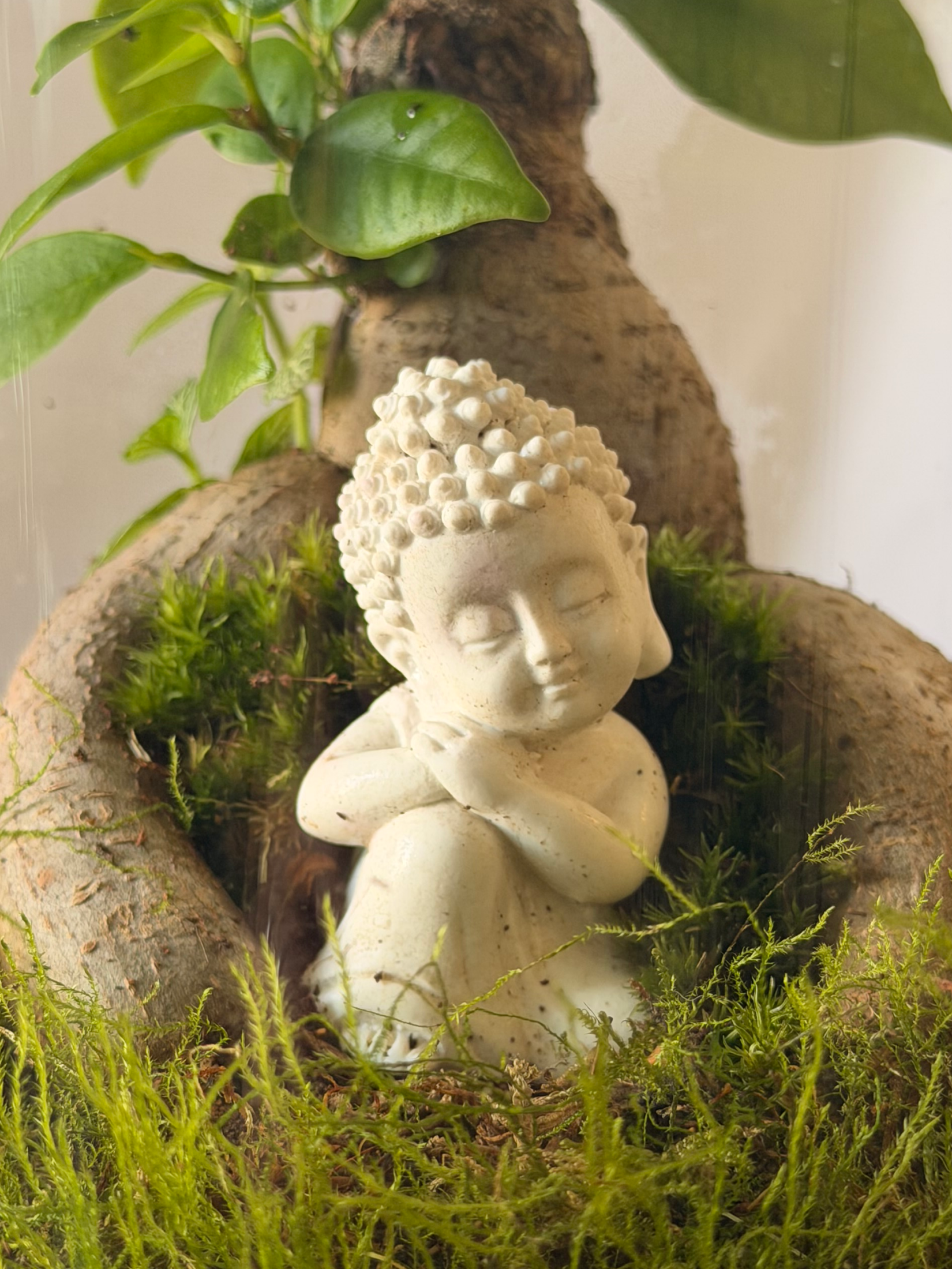 Living miniature Zen ecosystem featuring Buddha, bonsai tree, cushion moss, and Fittonia in a handcrafted cylinder terrarium.