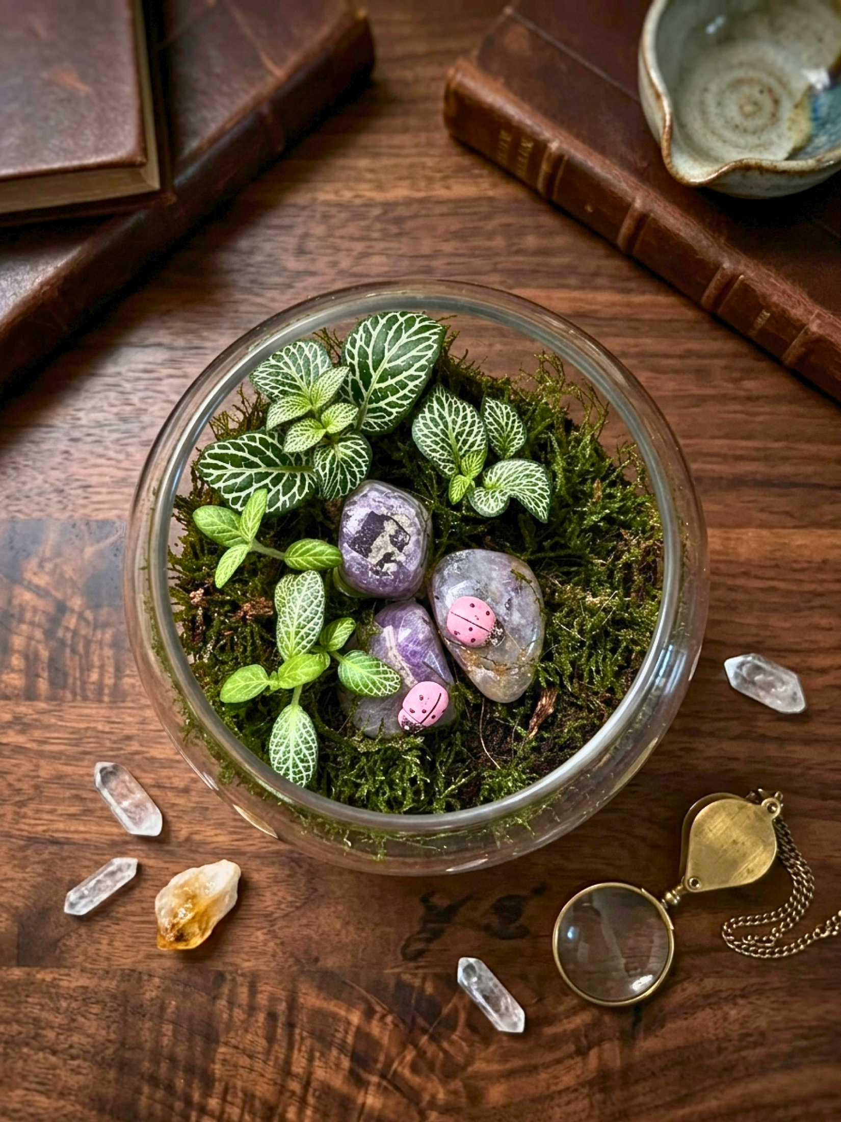Crystal Bloom Mini Terrarium by Lilli Plants best mini terrarium online Dubai UAE