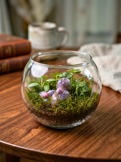 Crystal Bloom Mini Terrarium Dubai by Lilli Plants premium indoor moss terrarium UAE