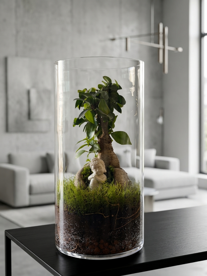 Elegant Ficus Microcarpa terrarium showcasing a peaceful Buddha beneath a bonsai canopy in a tall glass cylinder.