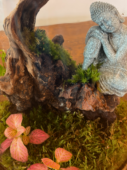 Buddha terrarium with moss landscape and indoor plants in clear glass container UAE