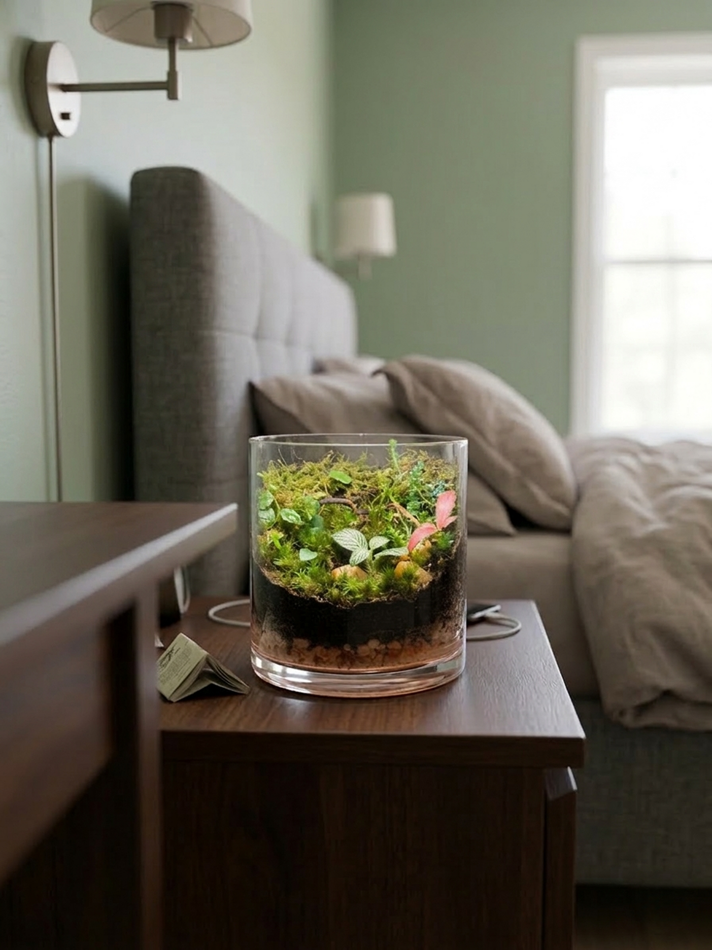 Handcrafted tabletop terrarium with Selaginella, cushion moss and decorative pebbles indoor plant décor Dubai