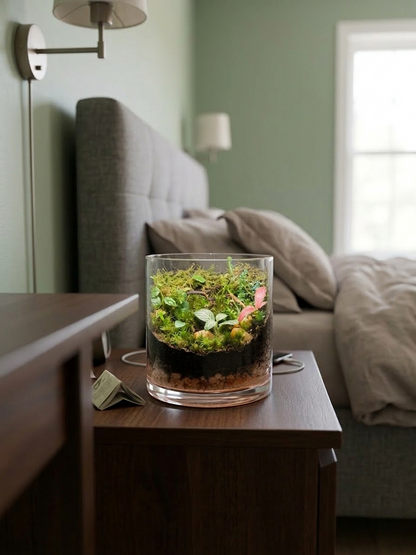 Handcrafted tabletop terrarium with Selaginella, cushion moss and decorative pebbles indoor plant décor Dubai