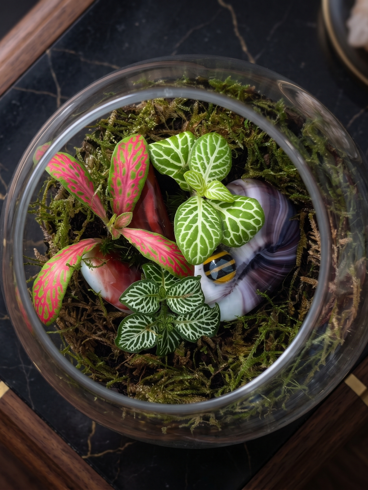 A top-down view of a clear glass terrarium filled with green moss, small green and pink patterned plants, and a small decorative bee figurine, set on a dark marble surface. Dubai, UAE