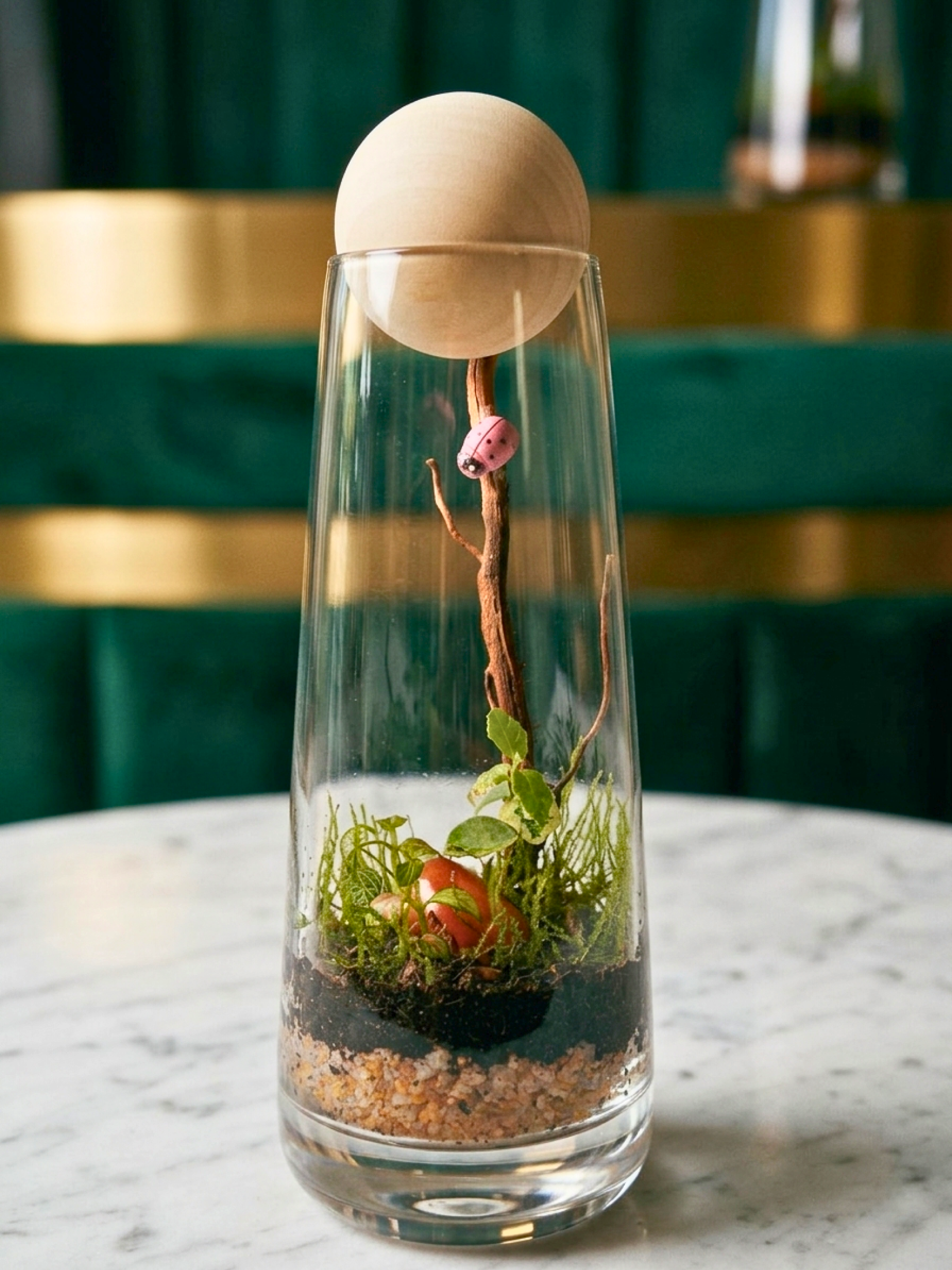 Elegant indoor glass terrarium with Fittonia red, Fittonia green and Ficus Pumila Variegated