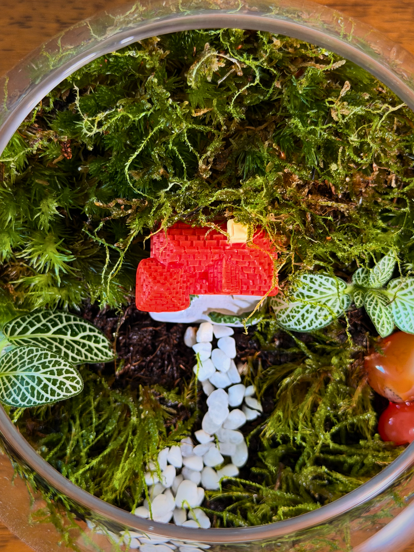 Decorative miniature cottage terrarium in clear glass bowl with moss garden and white pebble path