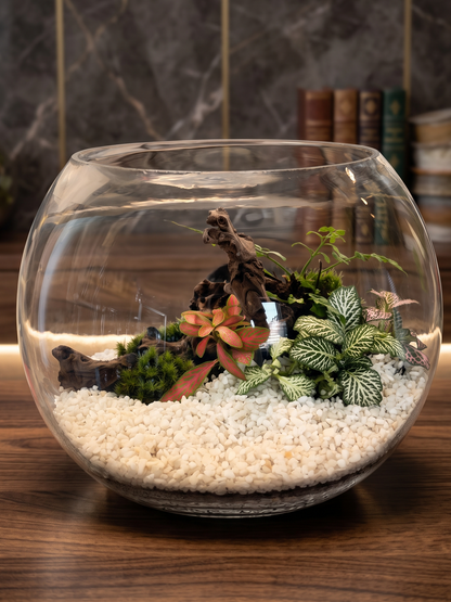 Ivory Grove classic bowl terrarium displayed as a nature-inspired centerpiece on a modern living room coffee table-Lilli Plants Dubai 