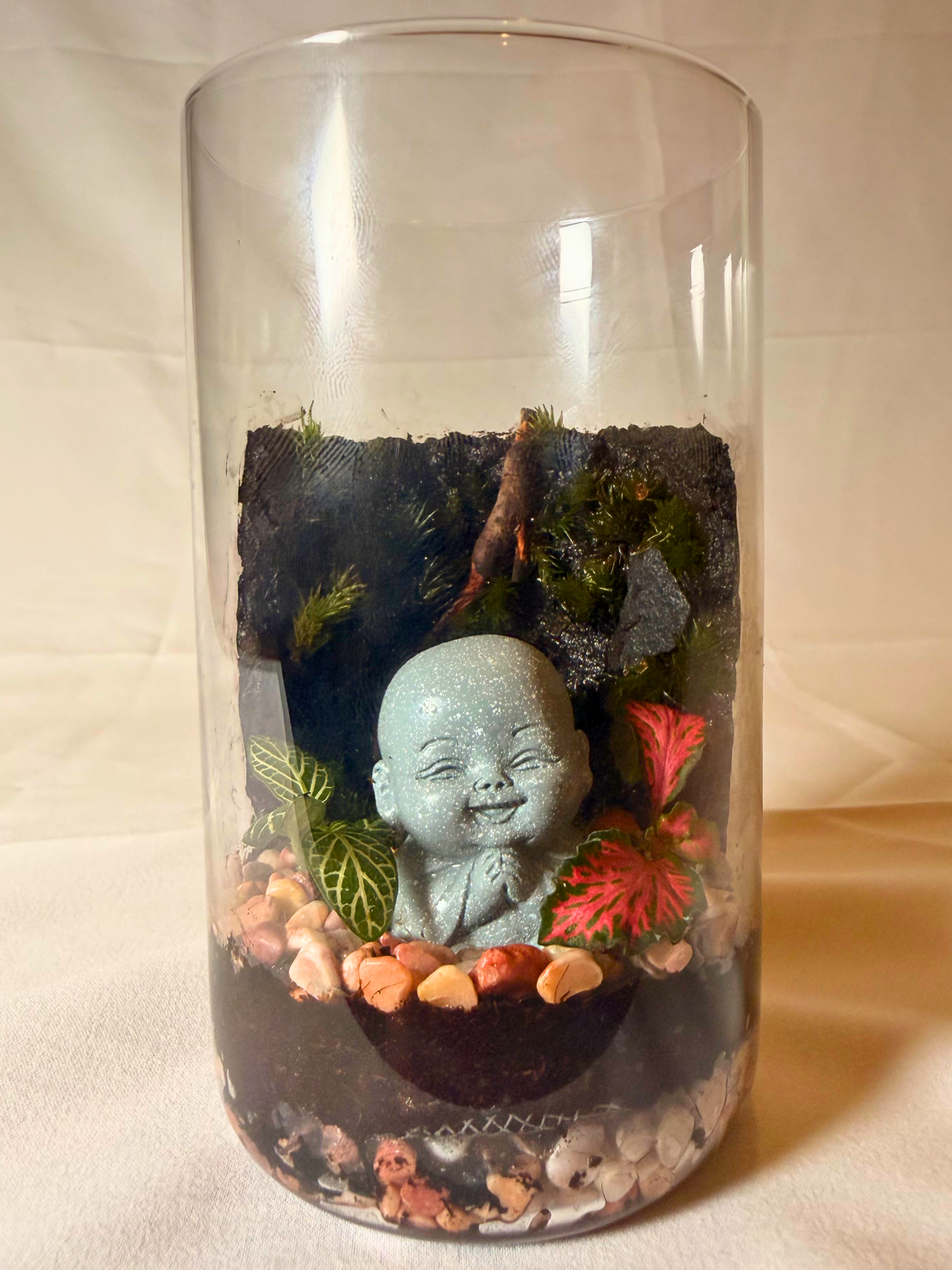 Baby Buddha small terrarium desk decor with red and green fittonia
