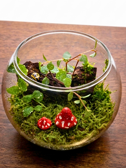 A side-profile view of the compact 12cm diameter Fablewood classic bowl terrarium, illustrating the clean, premium layered soil drainage system at its base.