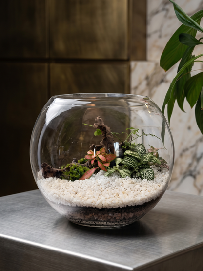 The Ivory Grove glass bowl terrarium styled on a luxury executive steel desk as modern biophilic office décor created by Lilli Plant Dubai
