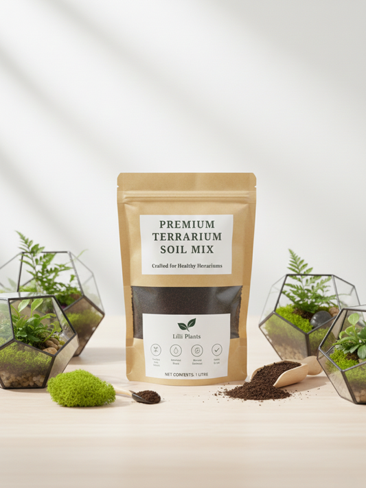Premium terrarium soil mix by Lilli Plants Dubai for closed and open terrariums