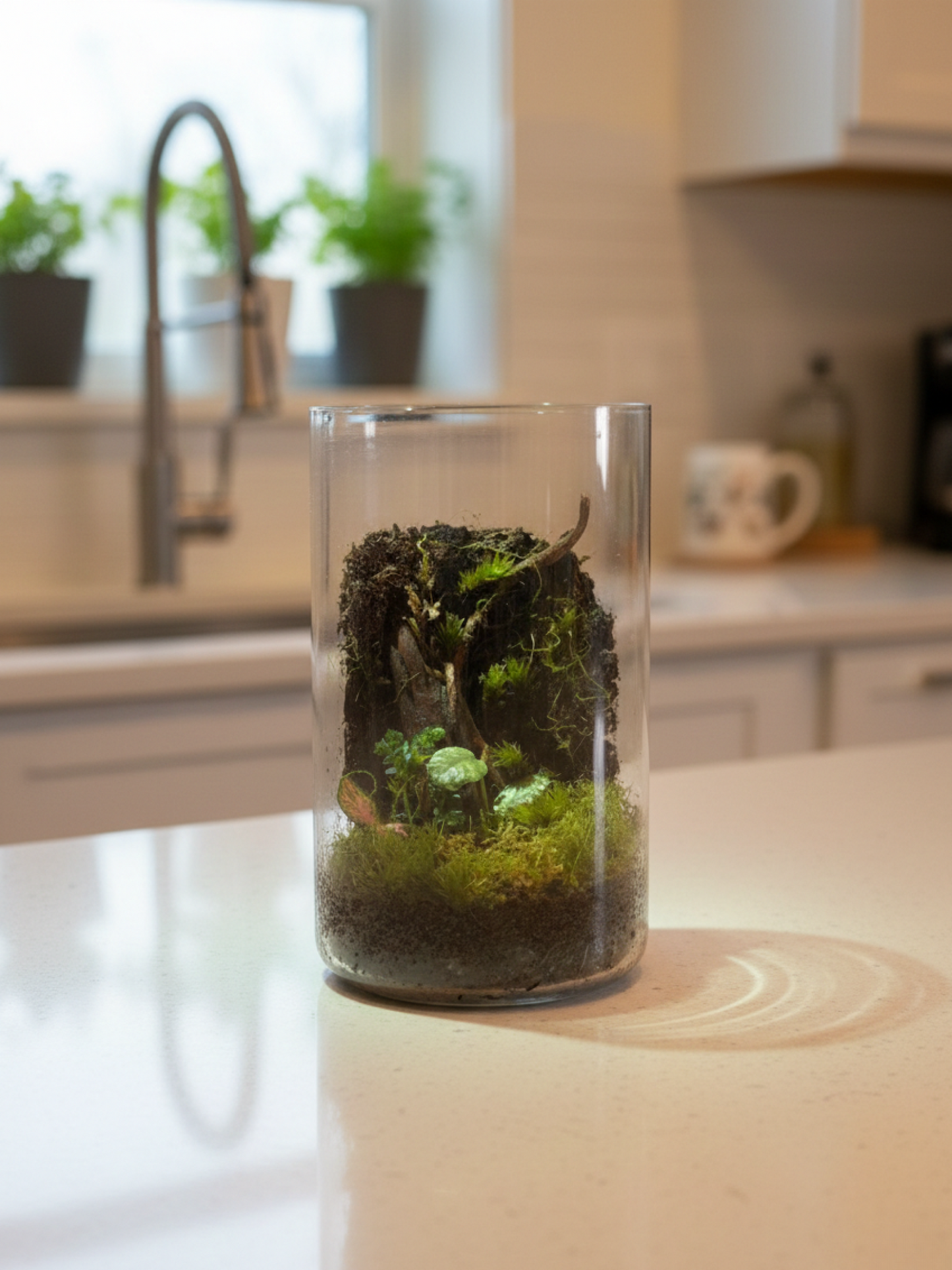 Ramadan and Eid gift-ready handcrafted woodland terrarium