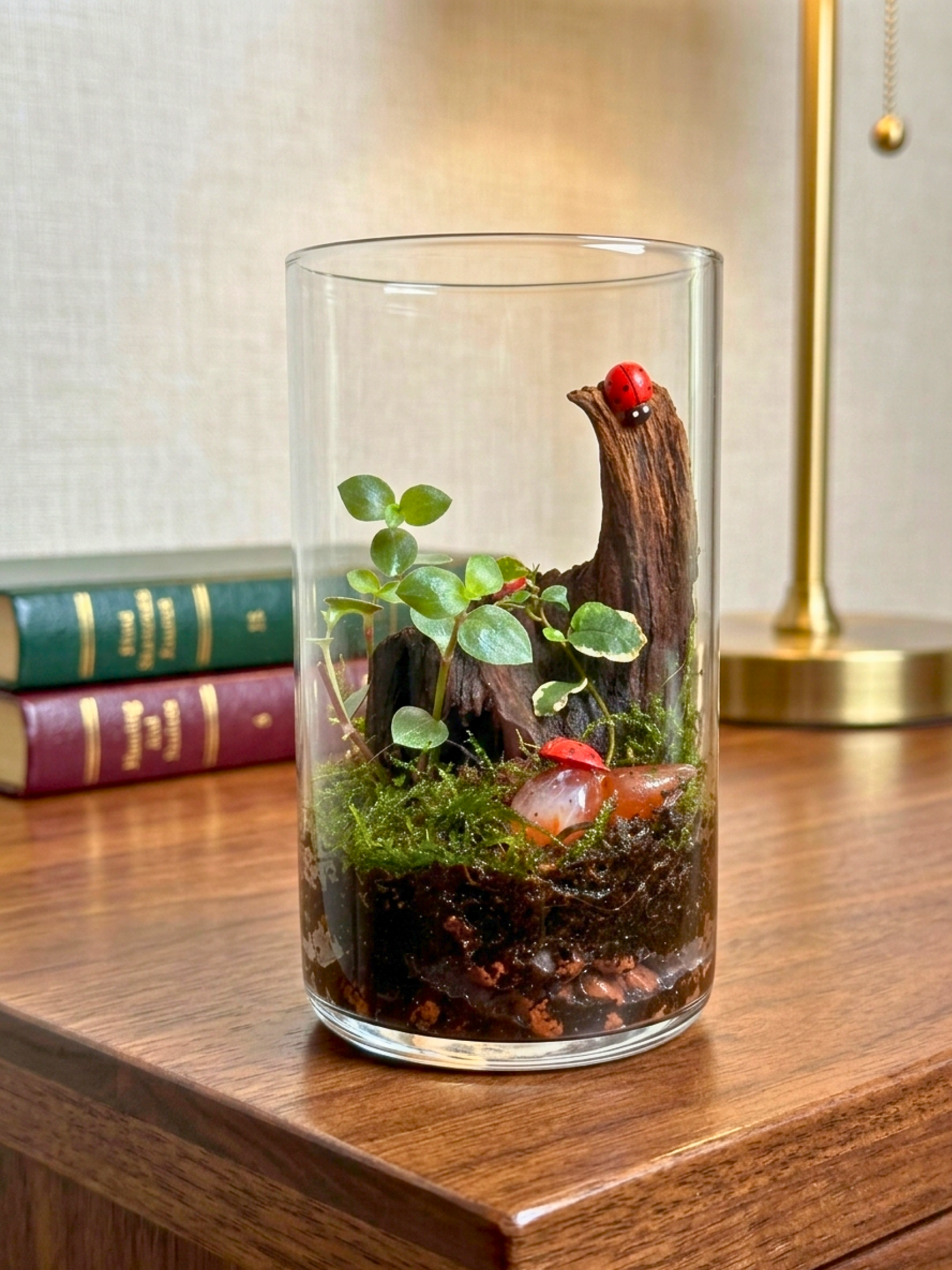 Little Forest Tale petite Peperomia glass terrarium handcrafted by Lilli Plants in Dubai for elegant tabletop décor.