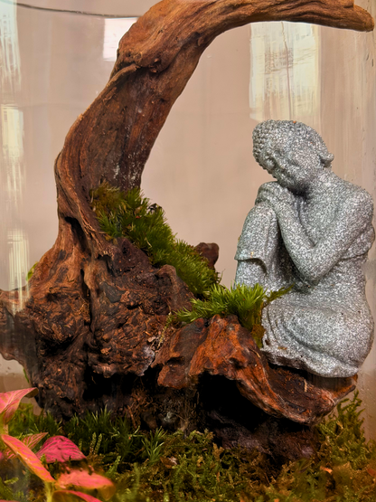 Handcrafted Buddha terrarium indoor plant décor by Lilli Plants in Dubai UAE
