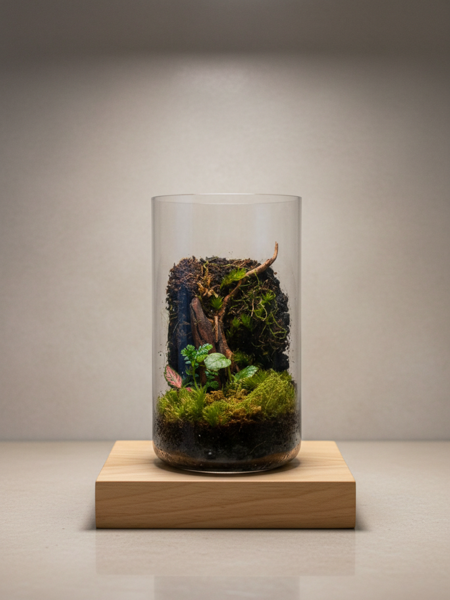 Handcrafted Lilli Plants mini woodland glass terrarium in Dubai