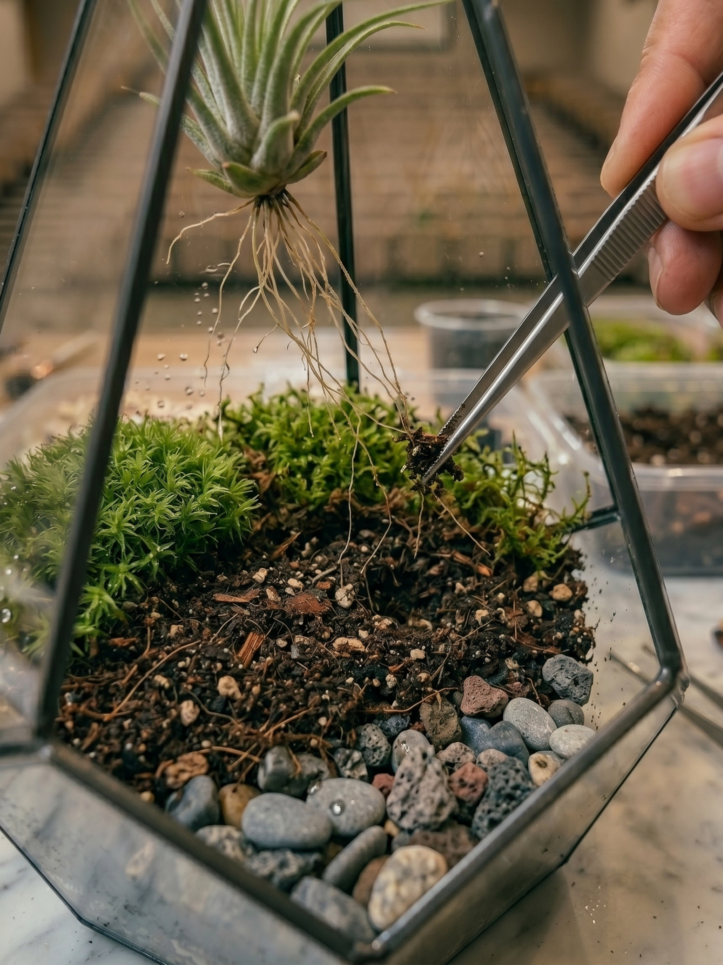 Premium terrarium workshop setup in Dubai with glass bowls, moss, soil and tools arranged on wooden tables by Lilli Plants