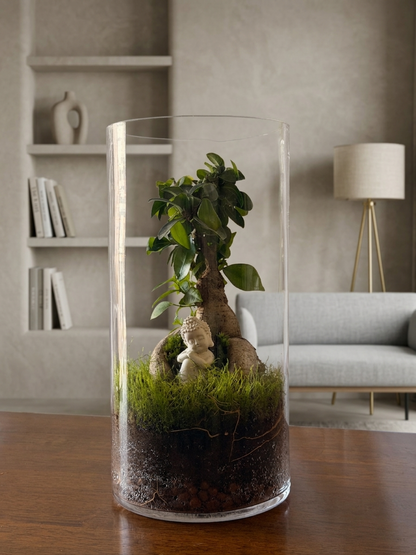 Zen-inspired cylinder terrarium with resting Buddha, mature Ficus bonsai, flat moss, and cushion moss handcrafted in Dubai.
