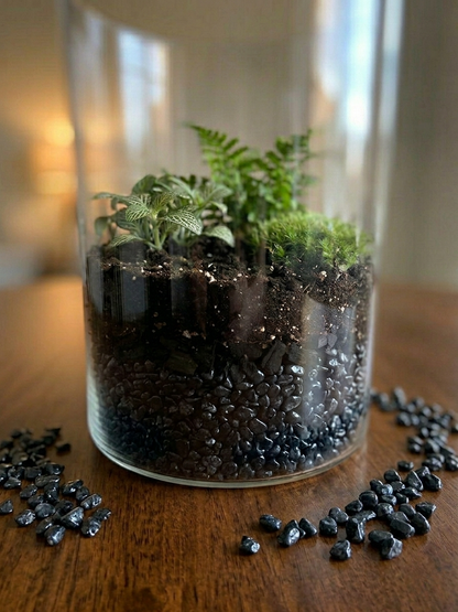 Premium 3–8 mm natural charcoal black stone gravel for terrariums, bonsai, and plant décor