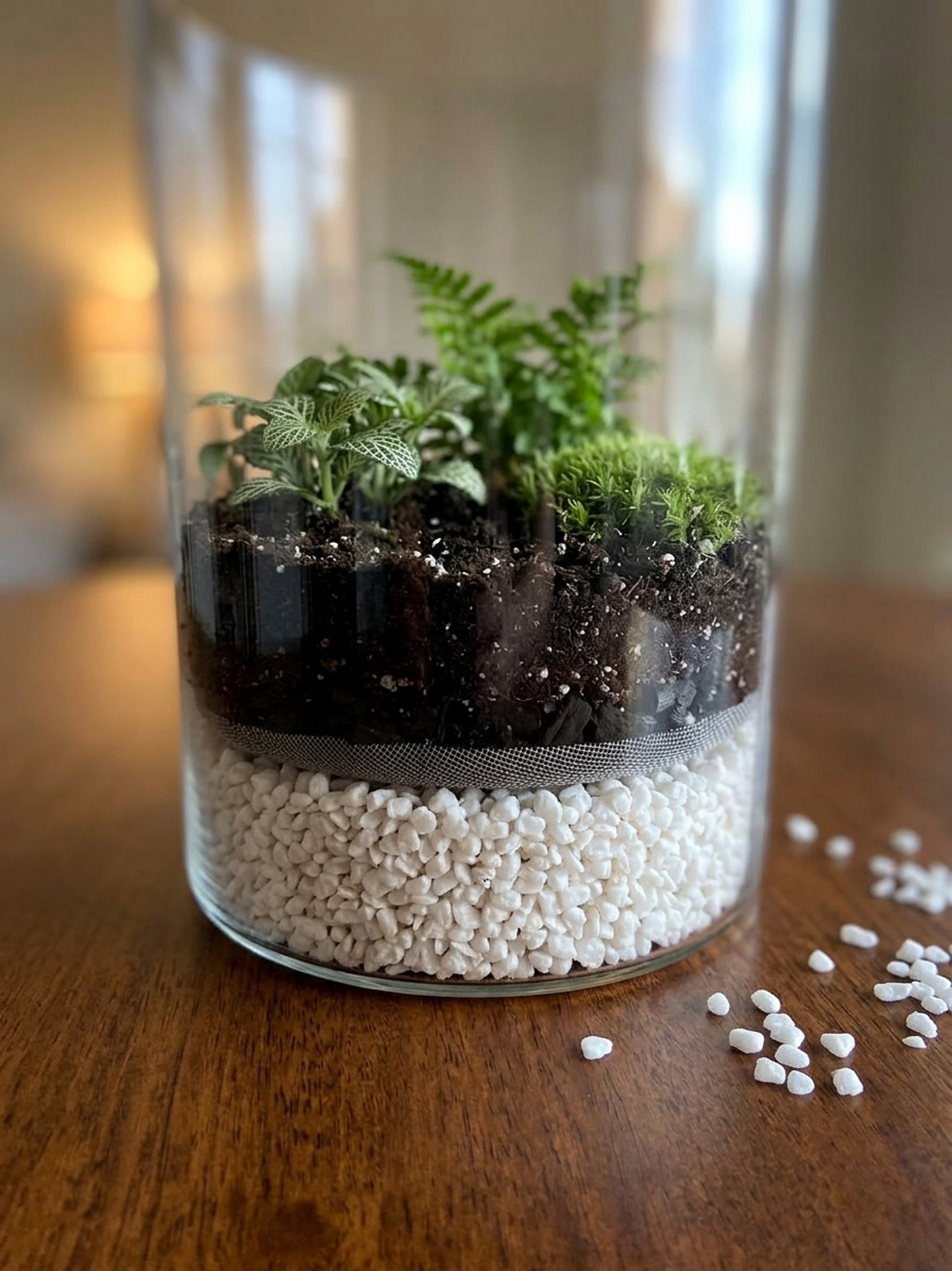 Premium 2–5 mm natural snow white stone gravel for terrariums, bonsai, and plant décor