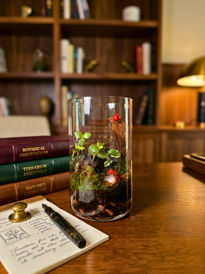 Decorative mini glass terrarium ideal for corporate gifting, office tables and stylish home interiors in UAE.
