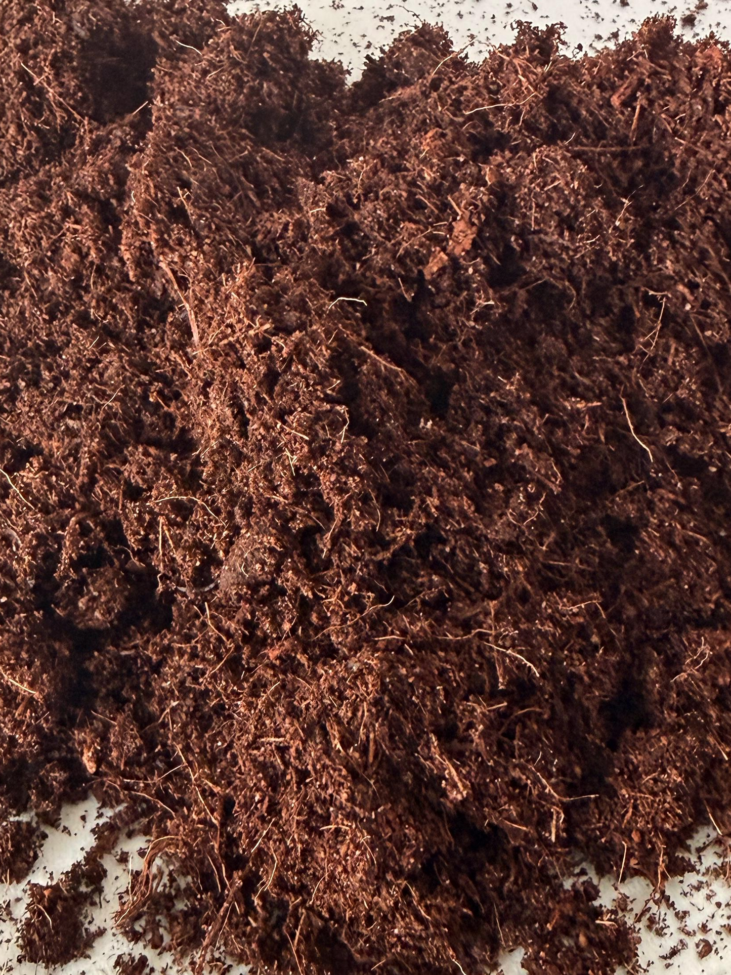 Eco friendly terrarium soil crafted in Dubai ready to use for DIY terrarium kits