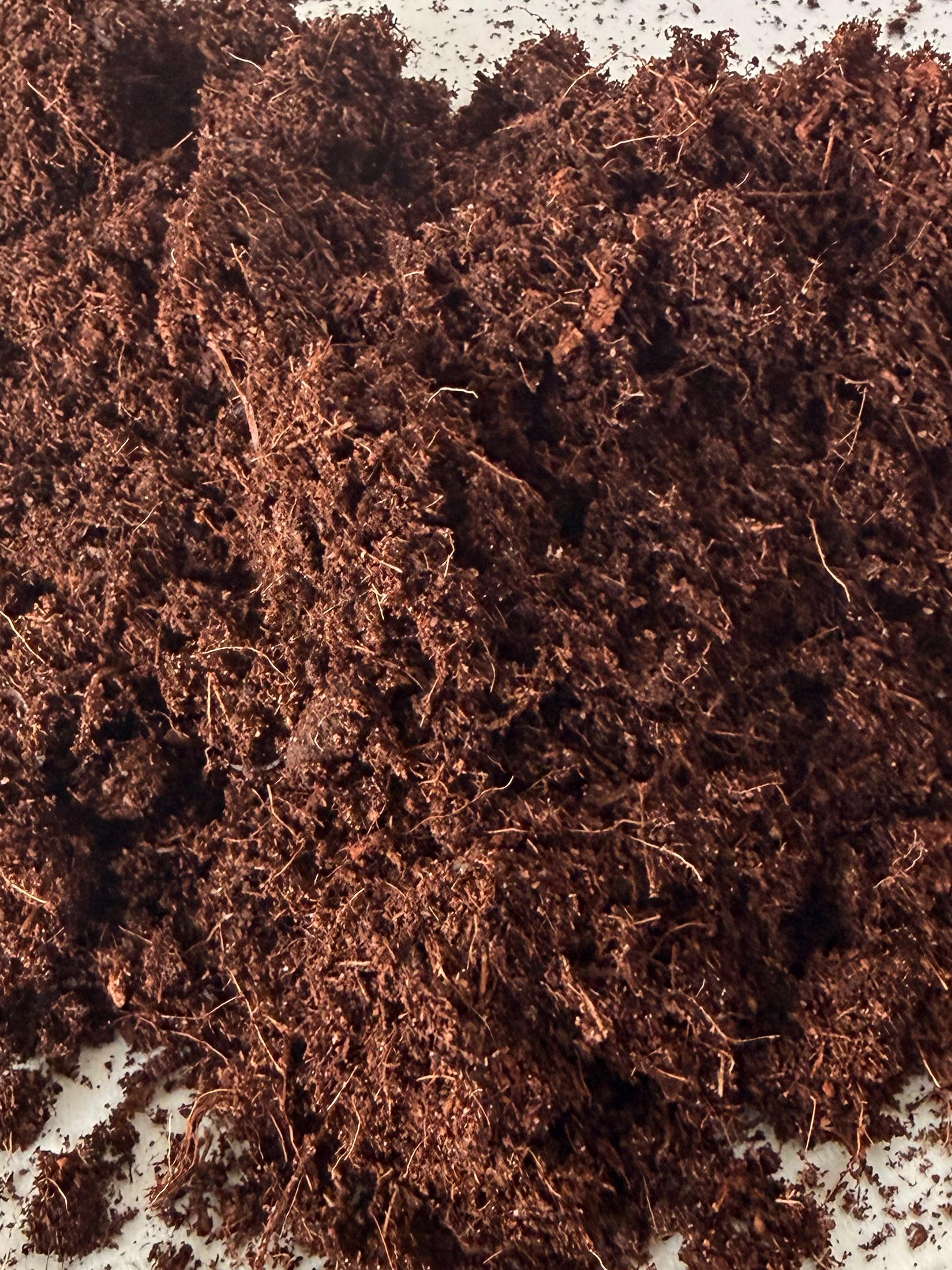 Eco friendly terrarium soil crafted in Dubai ready to use for DIY terrarium kits