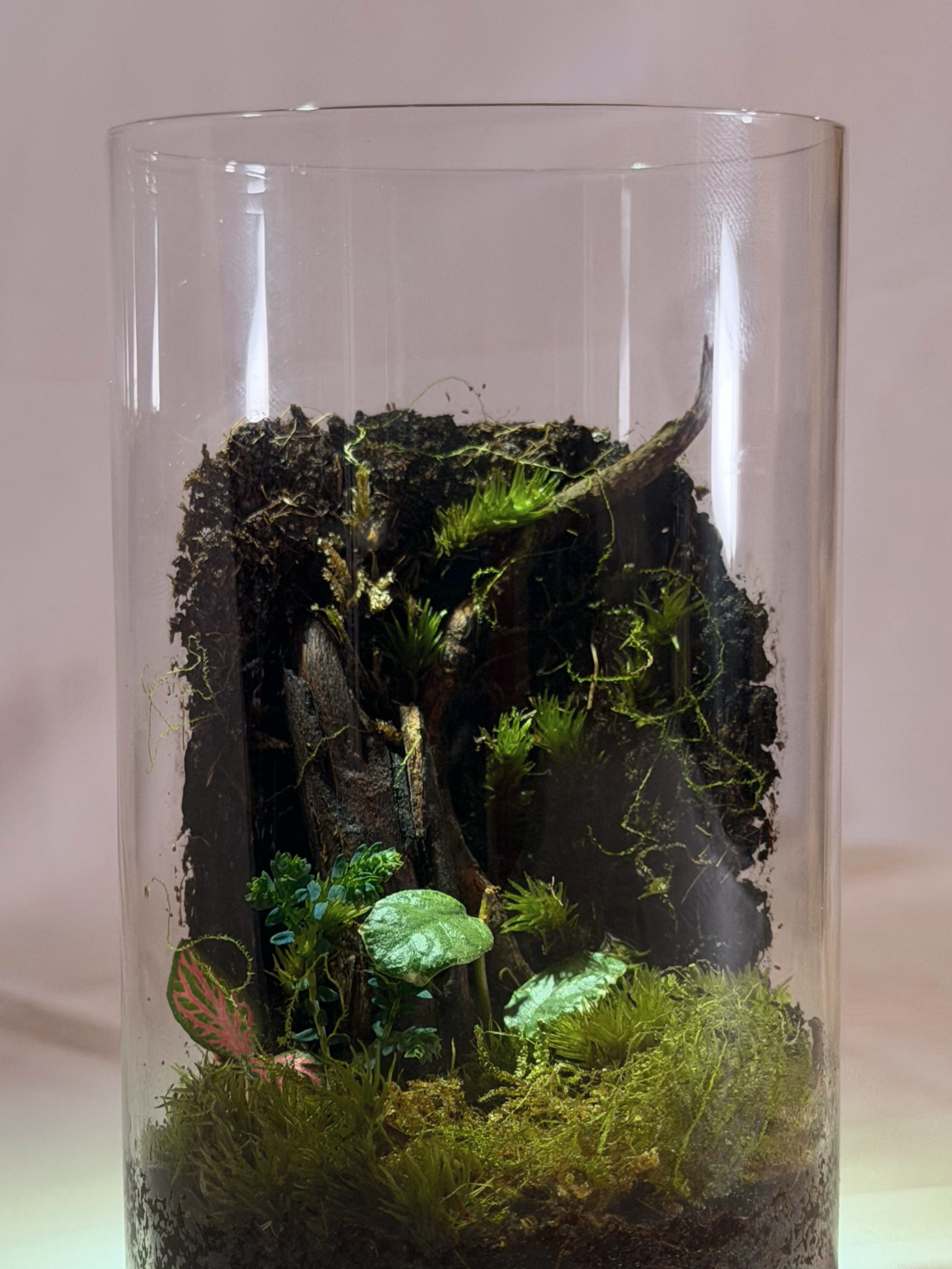 Elegant miniature forest scene for office desk or study table décor