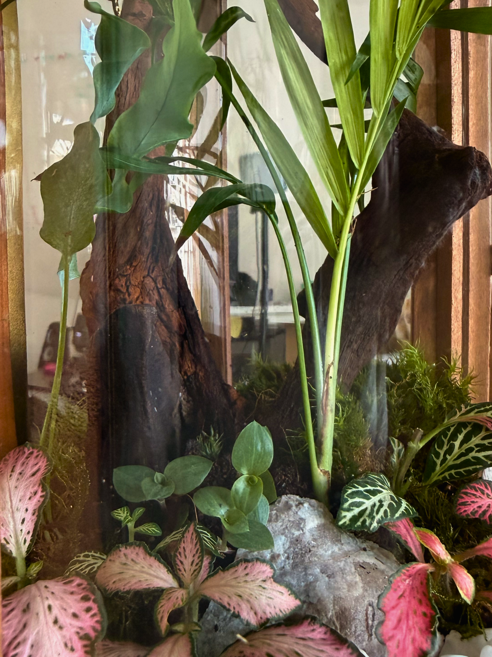 Handcrafted Noor Al Qamar Majlis Edition terrarium UAE luxury Islamic home décor for Ramadan nights